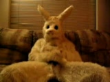 What the easter bunny does in his free time