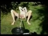 Crazy pussy workout