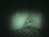 Night vision amateur porn with creampie