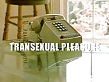  Transsexual Pleasure 