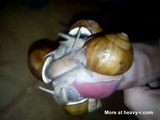 Cumshot With No Hands - Snail Videos